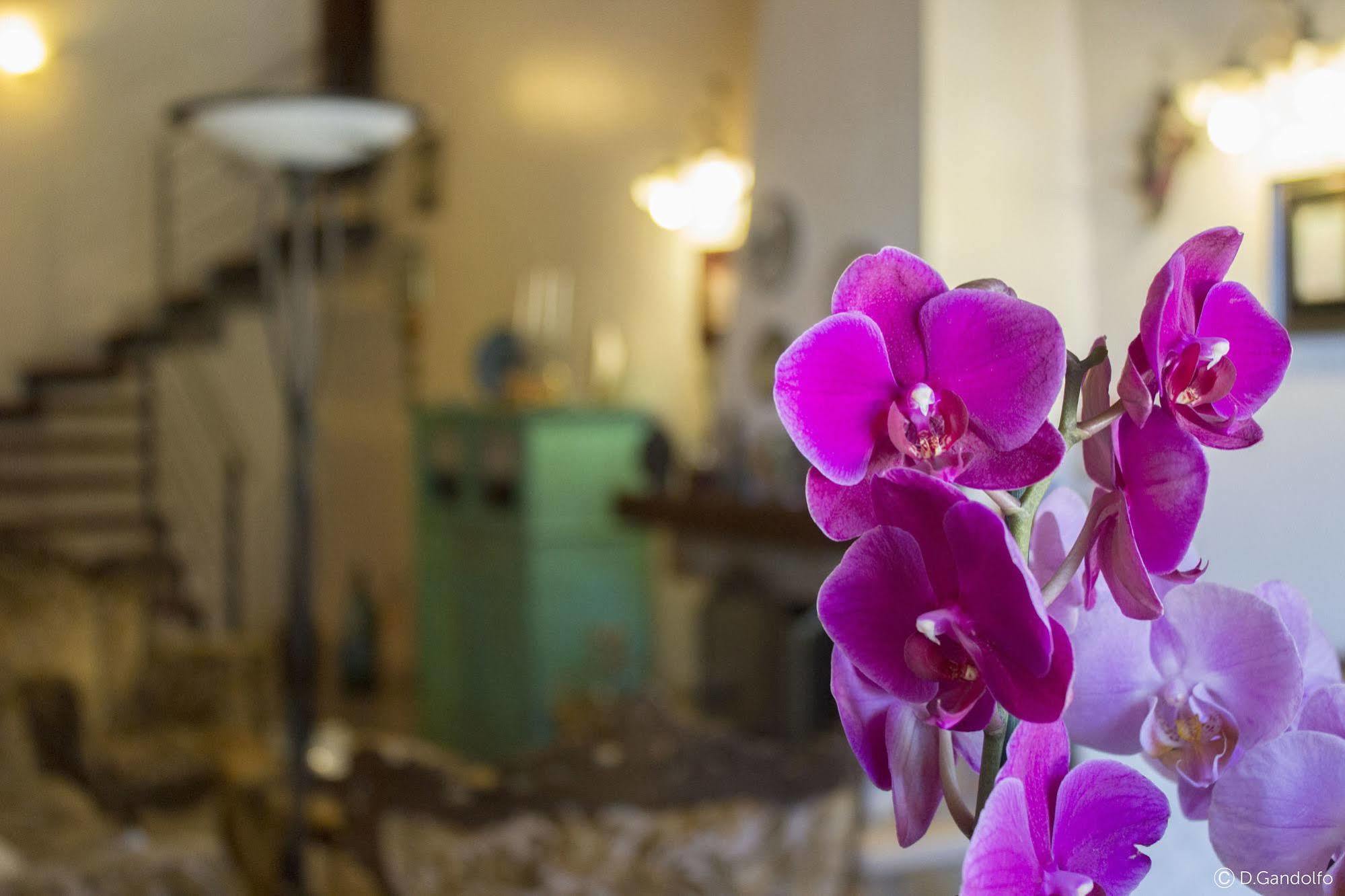Villa Gagliardetta Castellammare del Golfo Exteriör bild